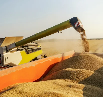 Fertilizer and grain import terminals