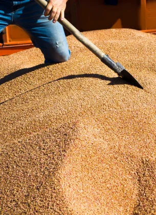 Agribulk & Commodities