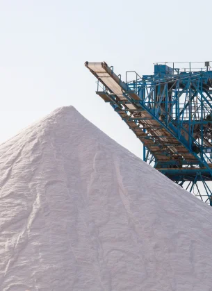 Chemical & Mineral Processing